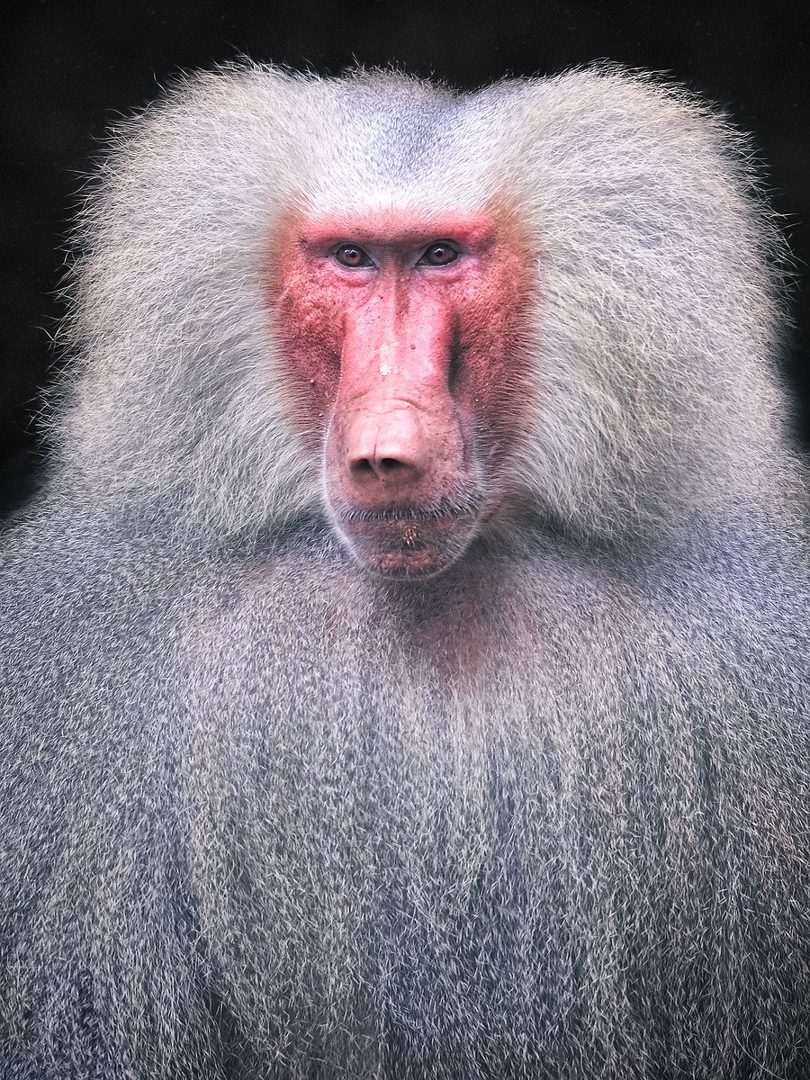 Джин красный Бабуин