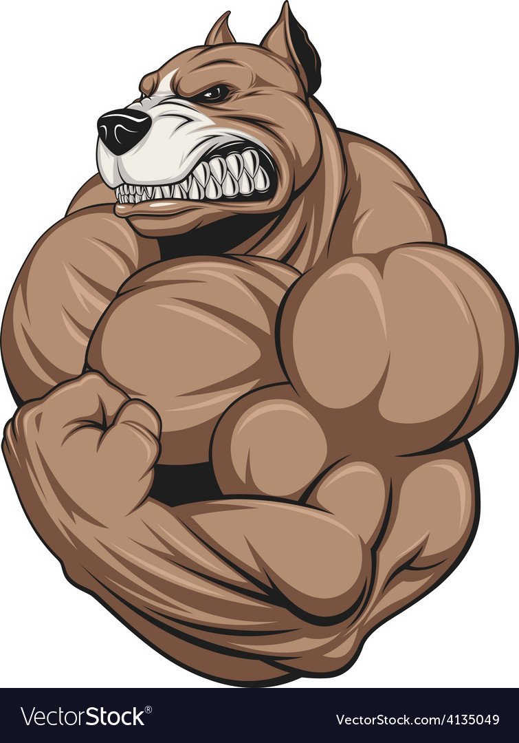 Медведь бодибилдер