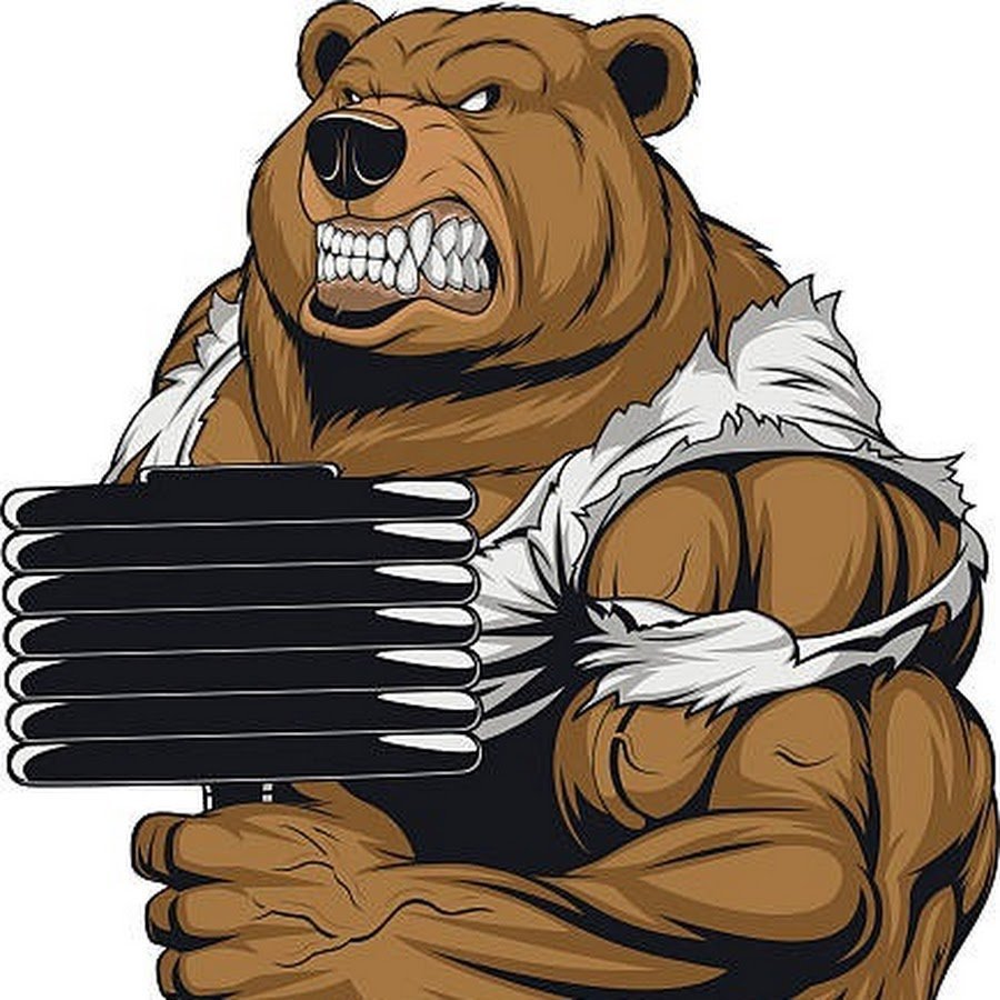 Мускулистый медведь