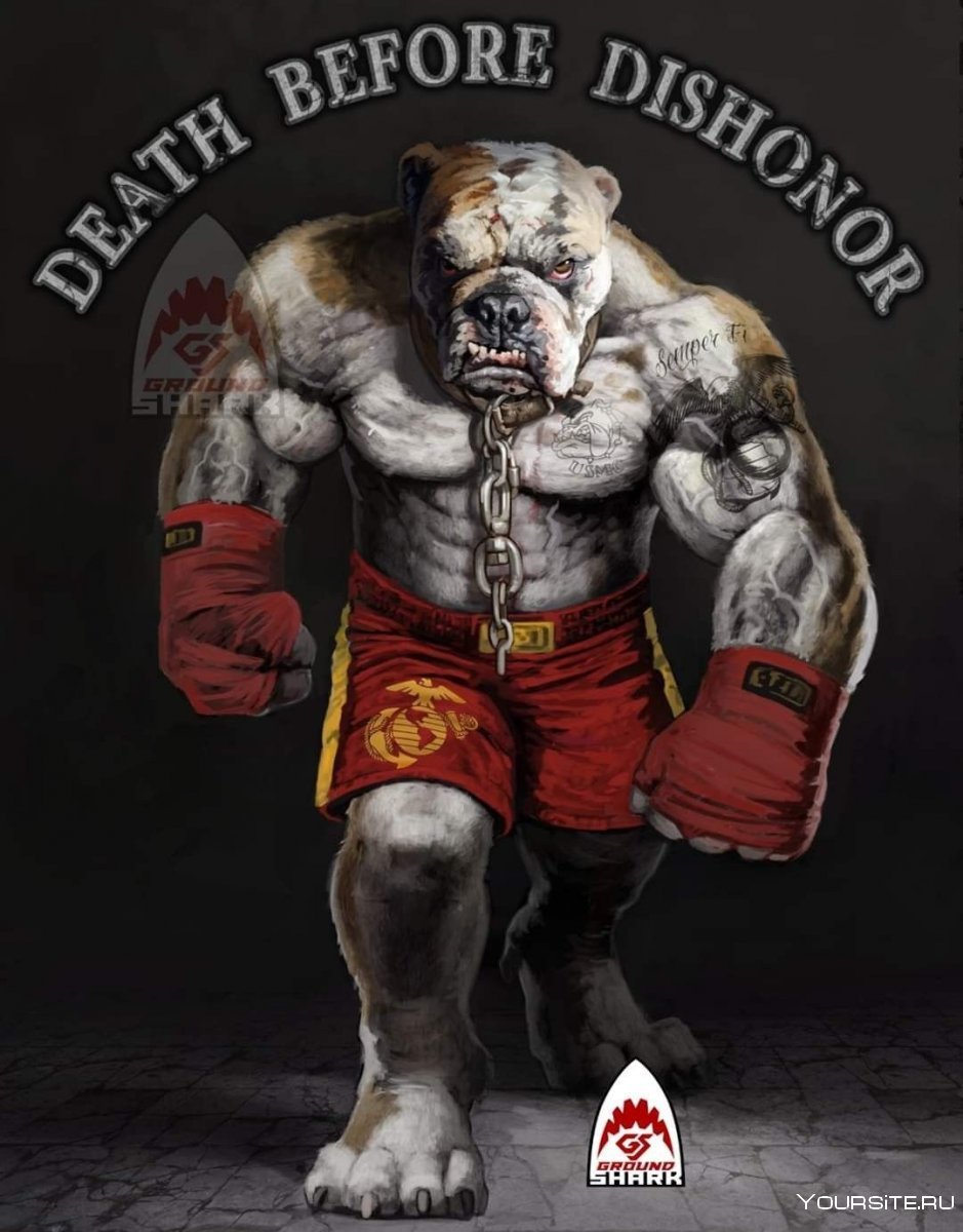 Лев боец арт