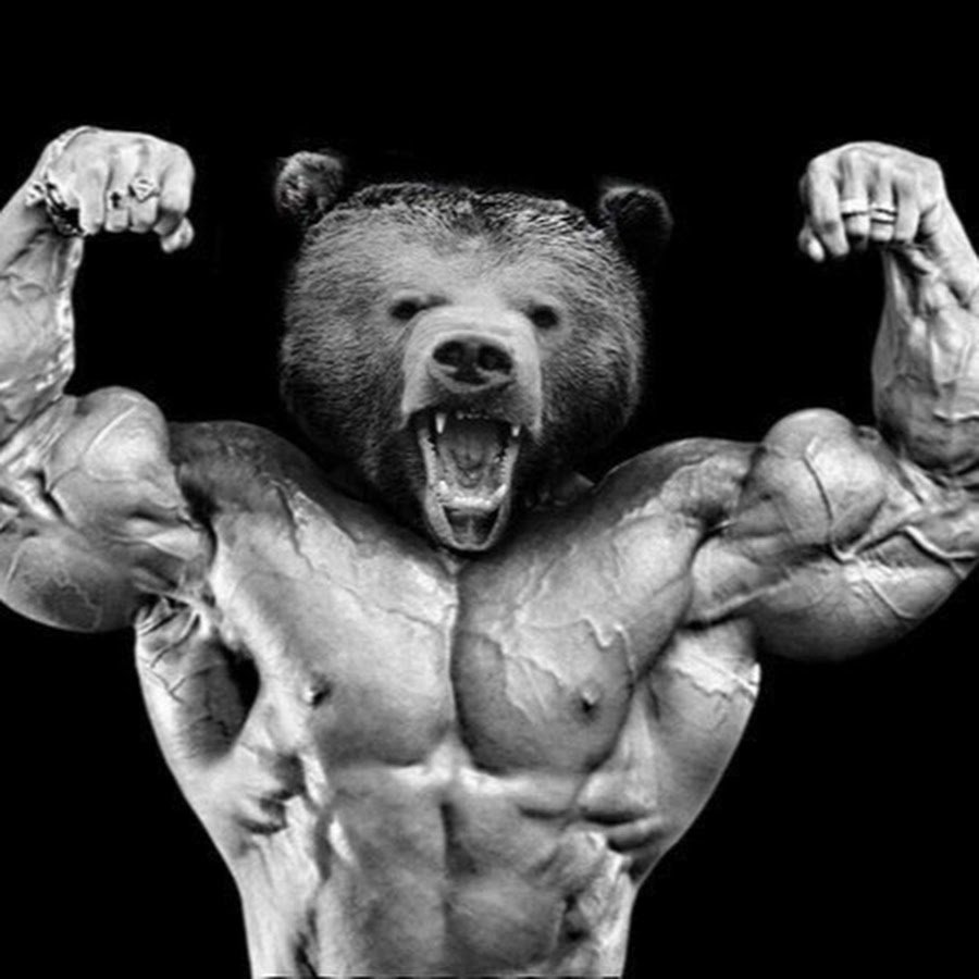 Медведь качок