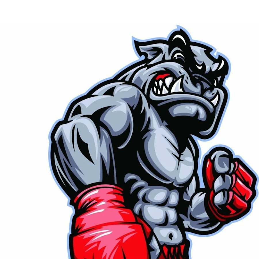 Медведь в боксерских перчатках картинки