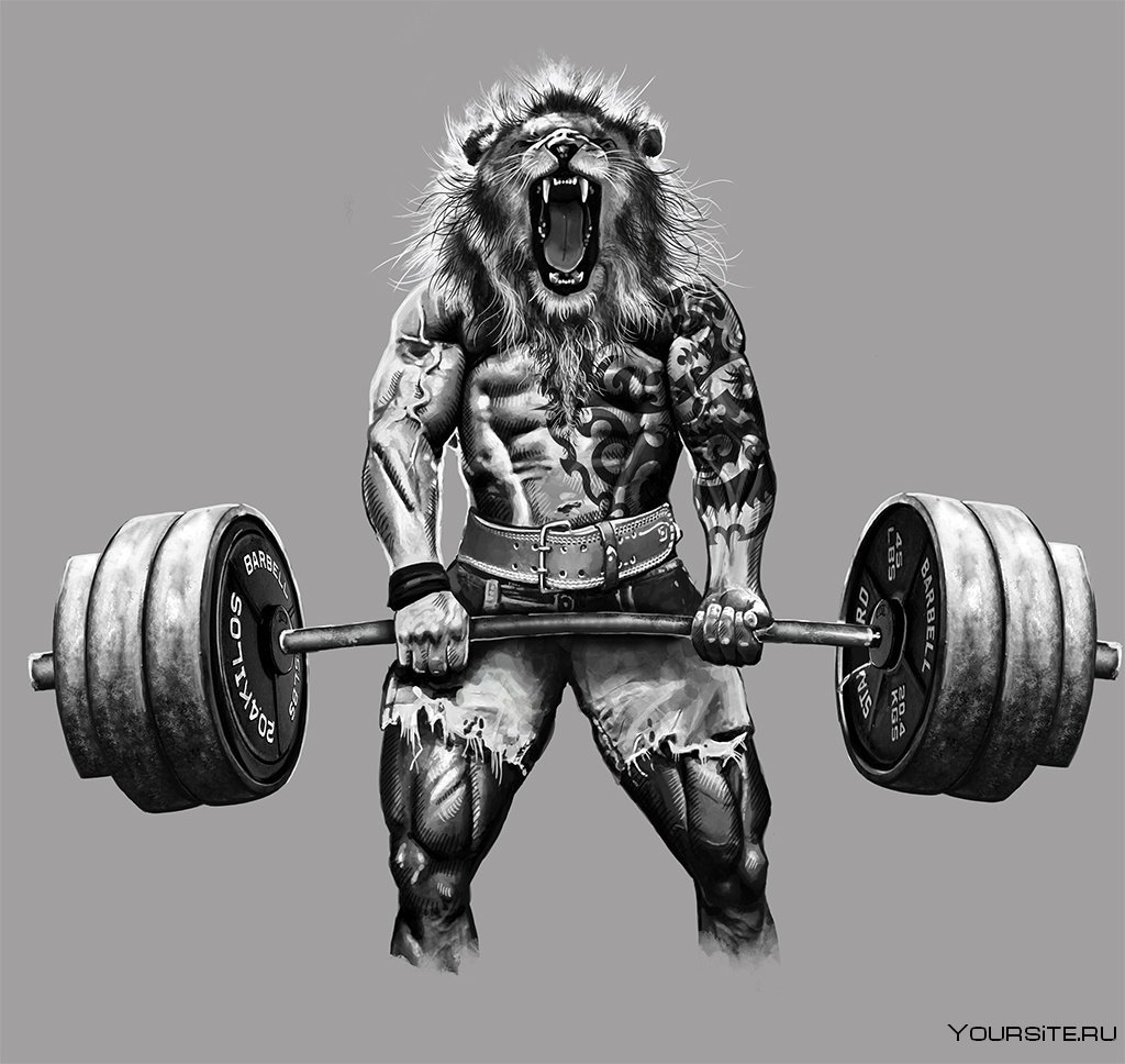 Медведь со штангой