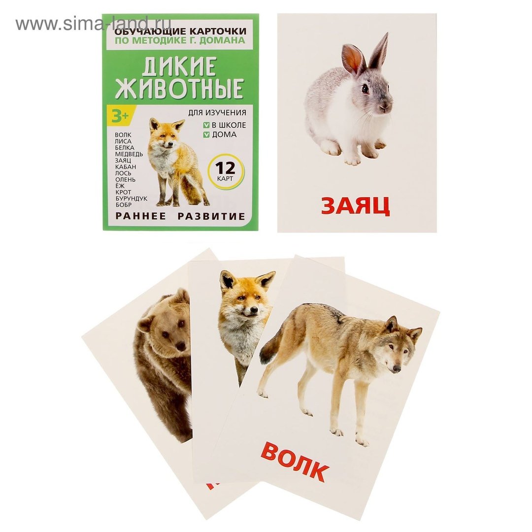 Гленн доман карточки животные