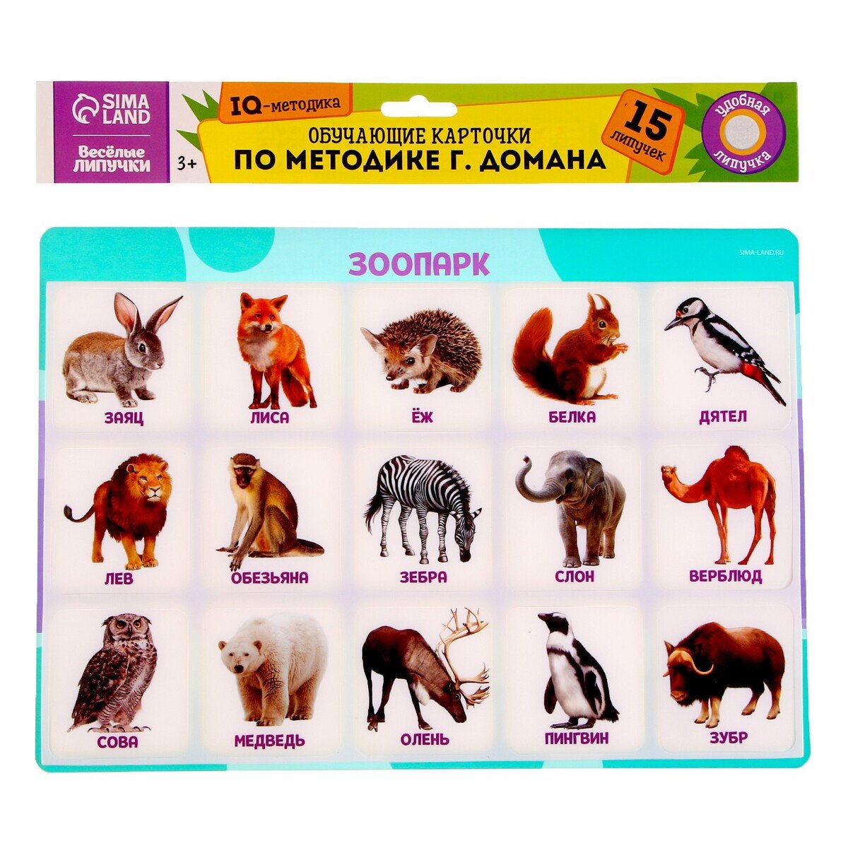 Дикие животные на английском языке