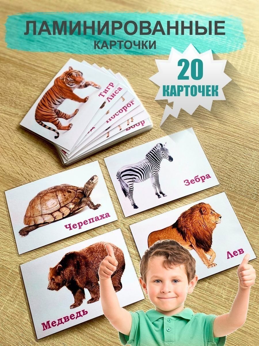 Familion Studio развивающие карточки