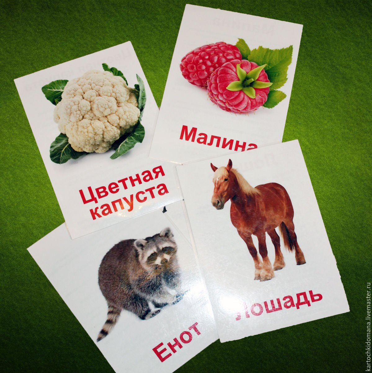 Карточки для малышей