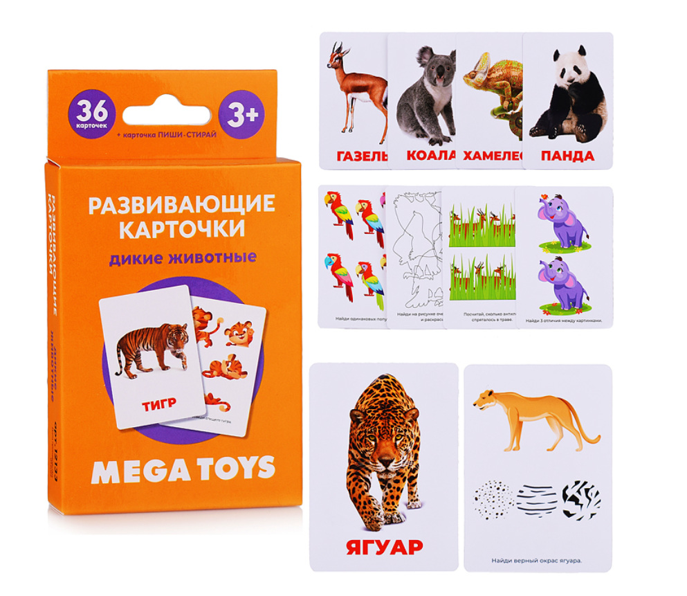 Карточки Дикие животные Азии