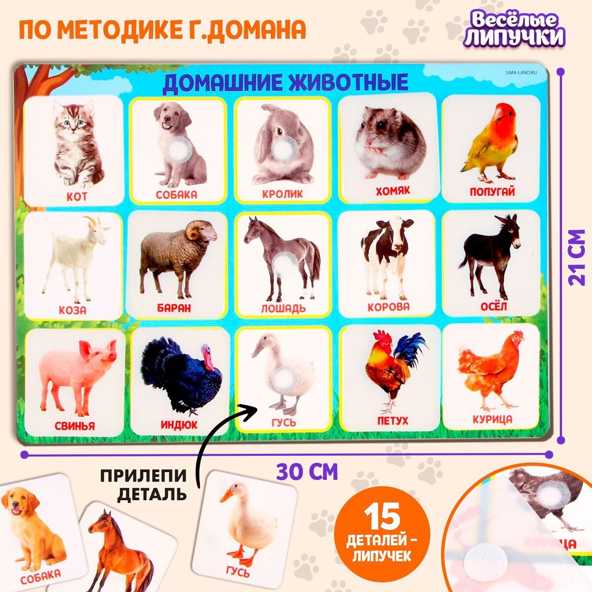 Домашние иджикие животные