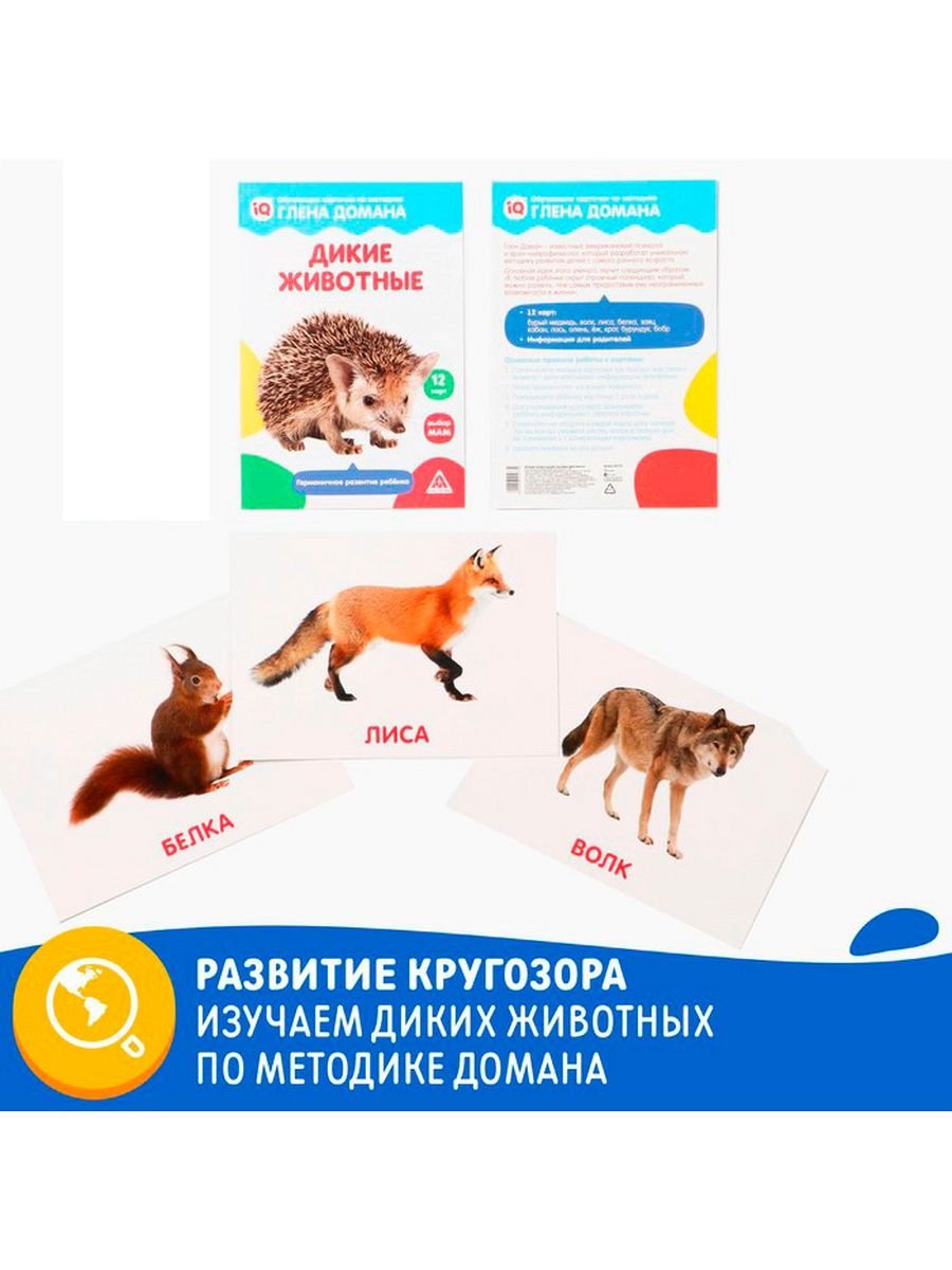 Говорящая книга "нажималка" - животные