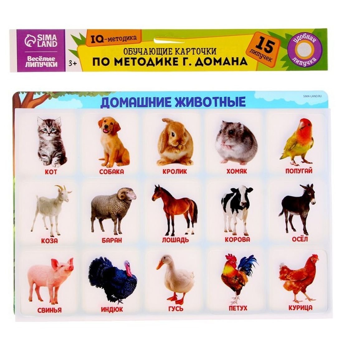 Плакат обучающий домашние животные и птицы