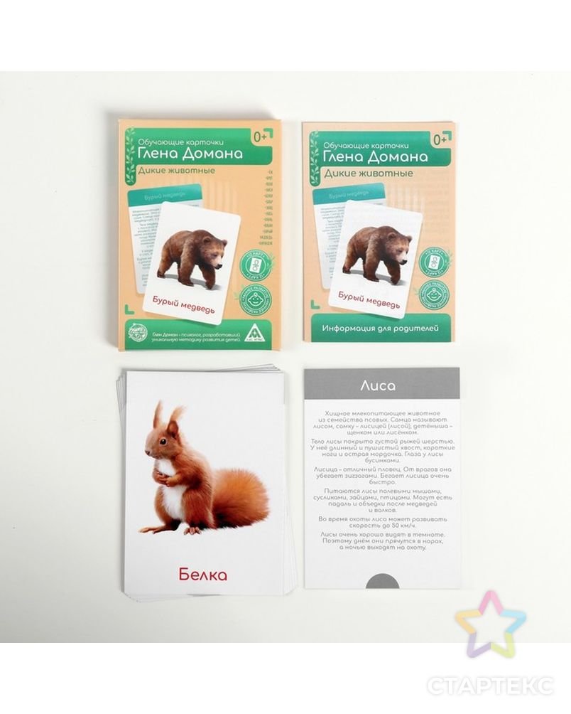 Обучающие карточки по методике г Домана Дикие животные 12 карт а6