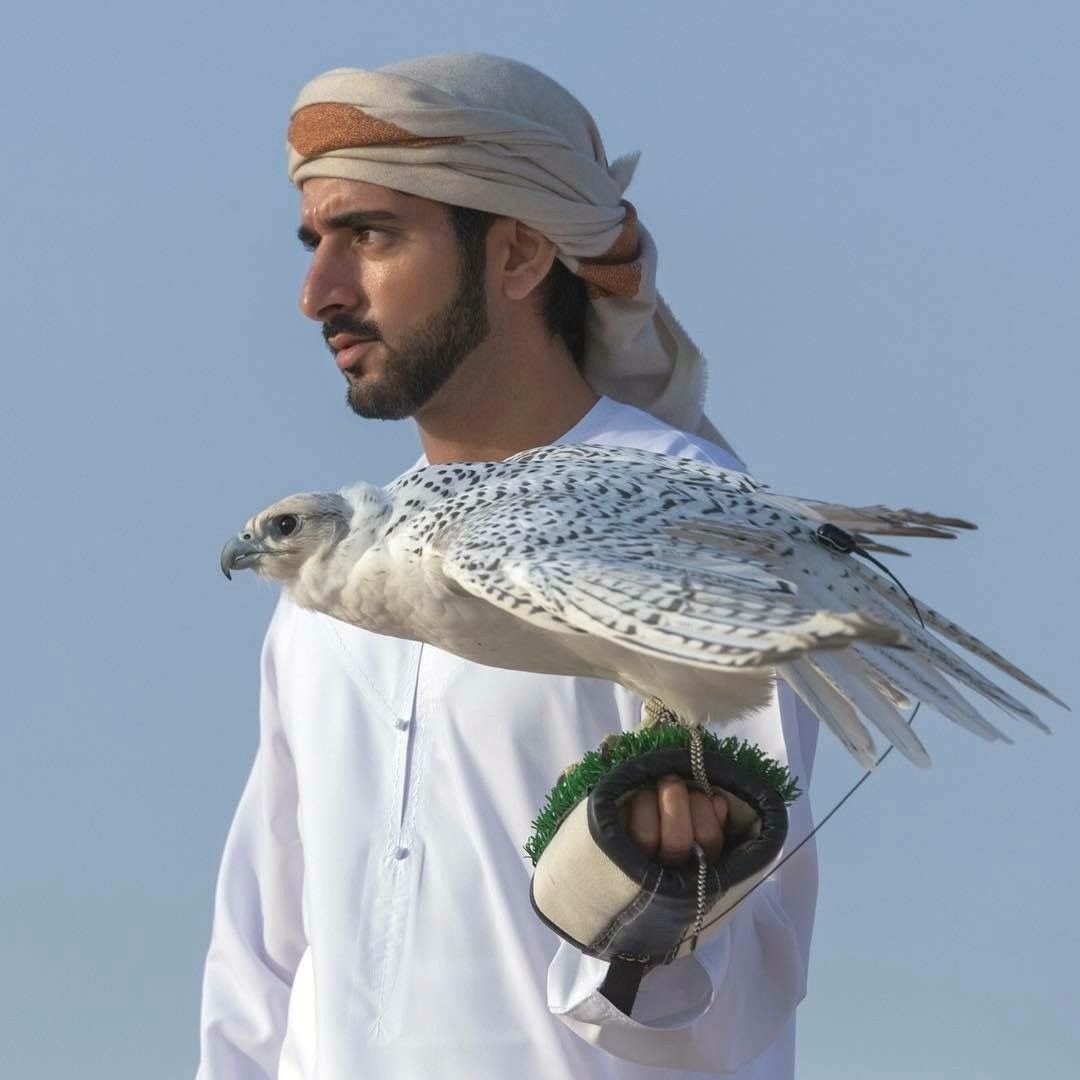 Араб принц Хамдан