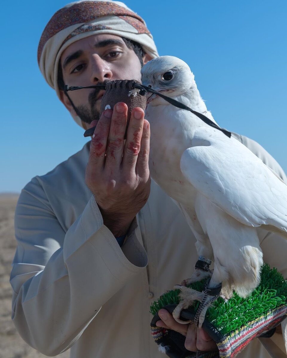 Принц Хамдан в Узбекистане