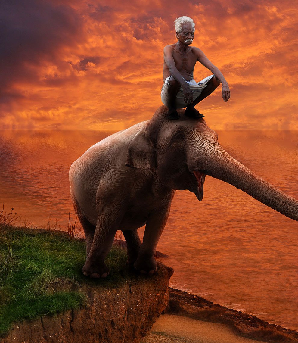 Самые сильные животные на планете