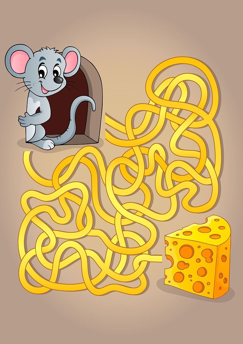 Мышь в лабиринте