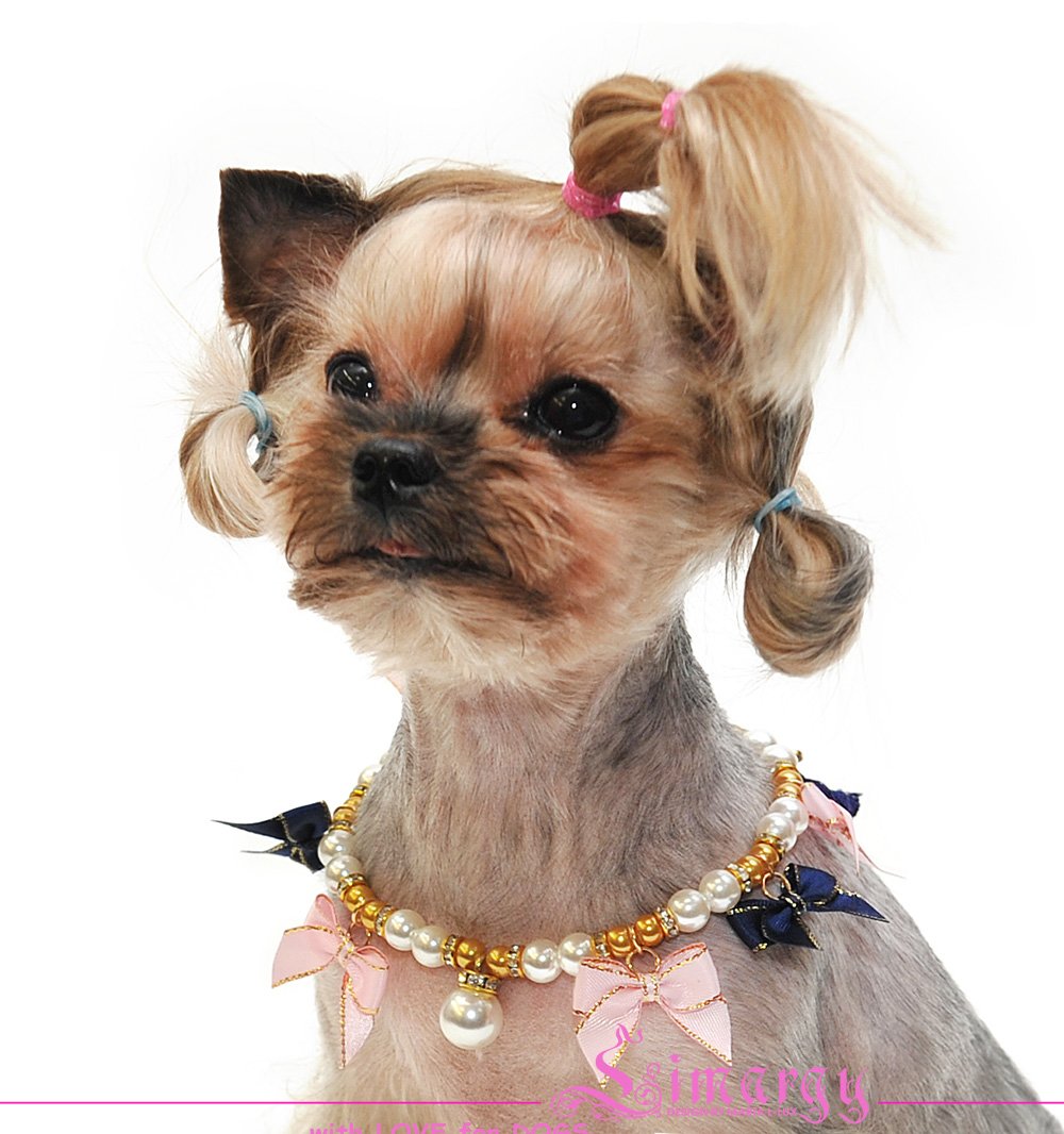 Маленькая собачка с бантиком