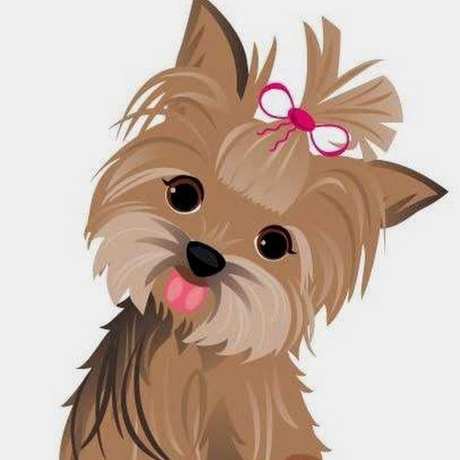 Йоркширский терьер