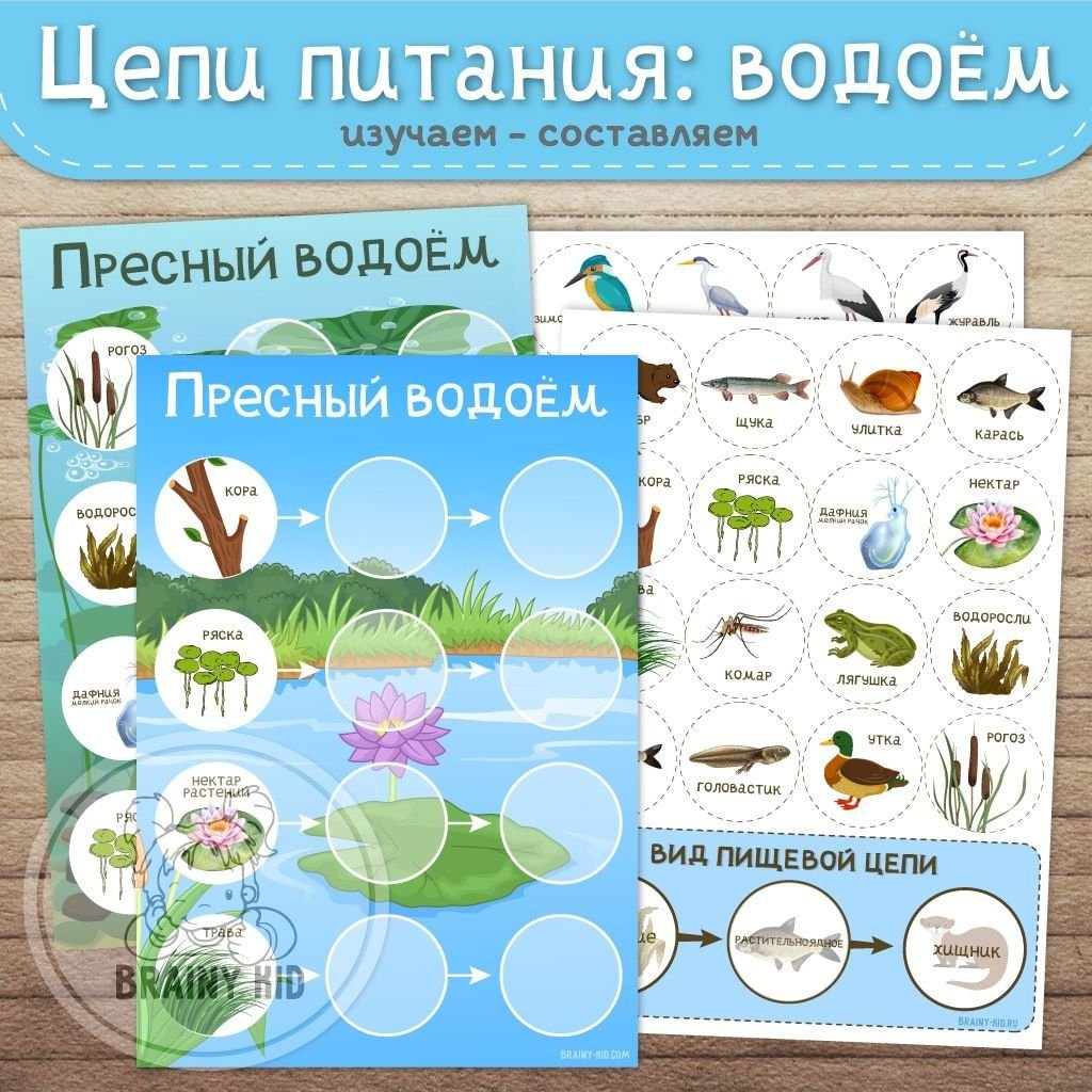 Цепи питания