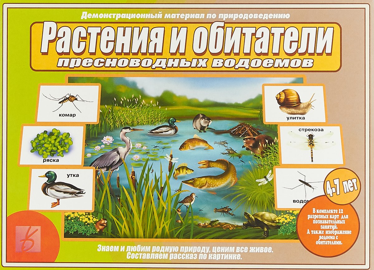 Демонстрационный материал