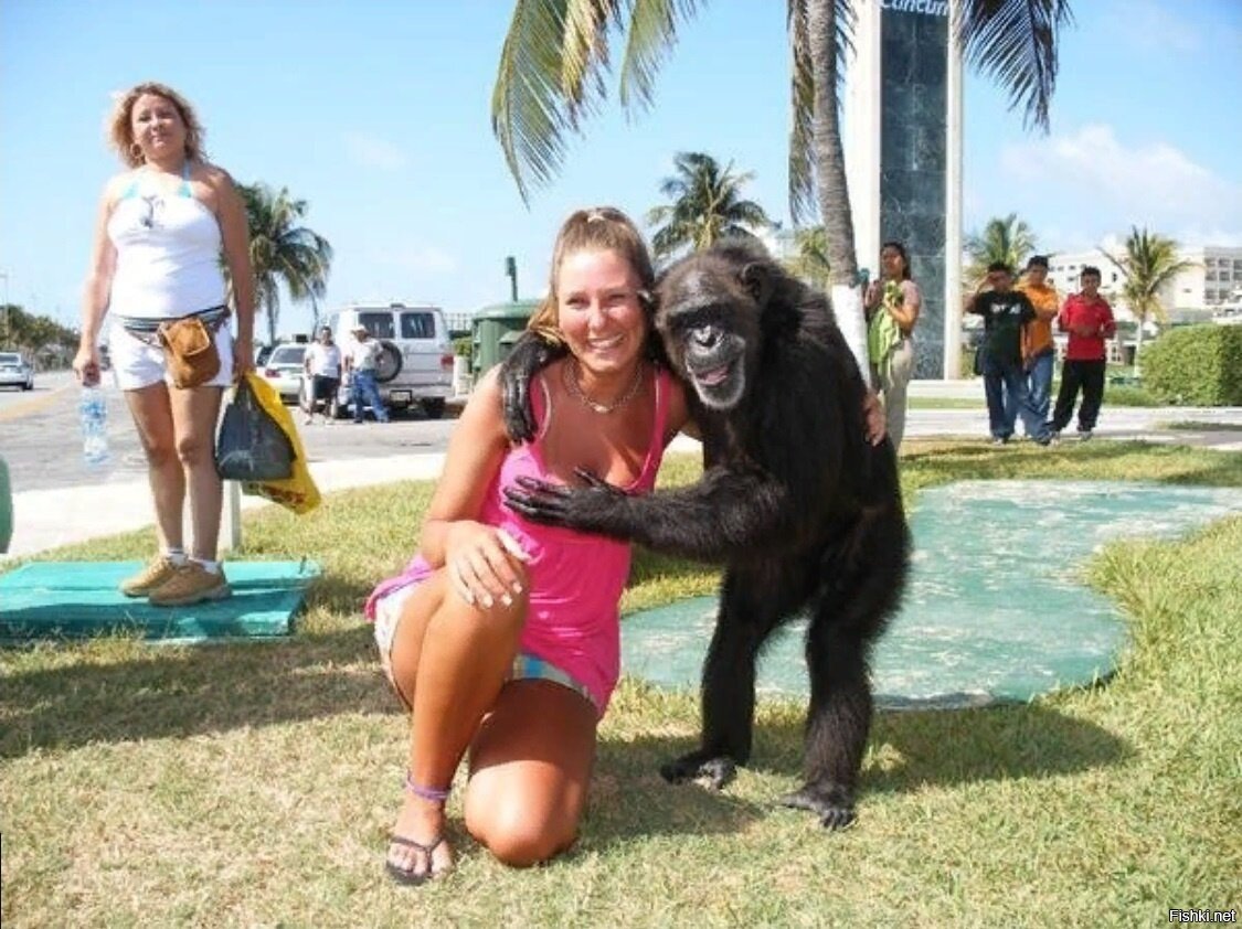 Девушка и обезьяна