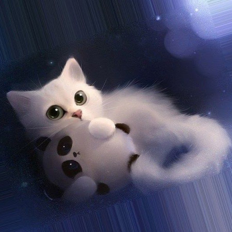 Котята на аву