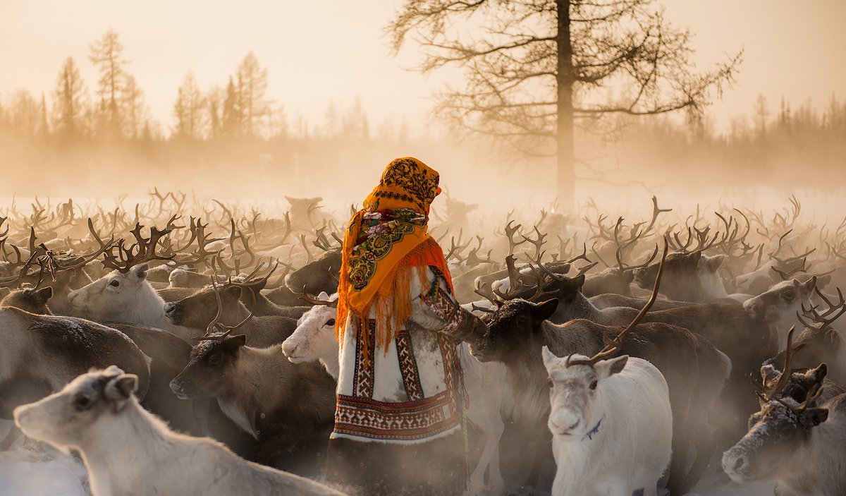 Ненцы Ямала