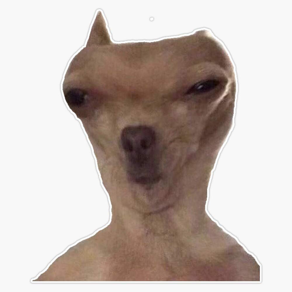 Собака инопланетянин