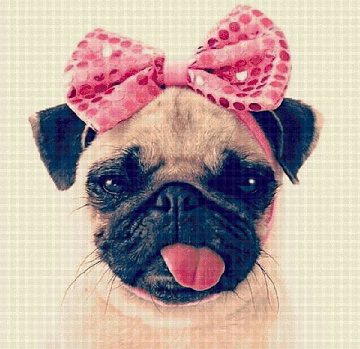 Щенок с бантиком