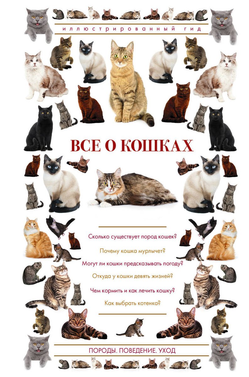Кошки. Все породы