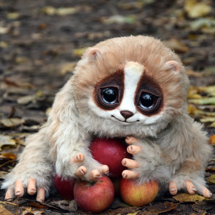 Животное с большими глазами