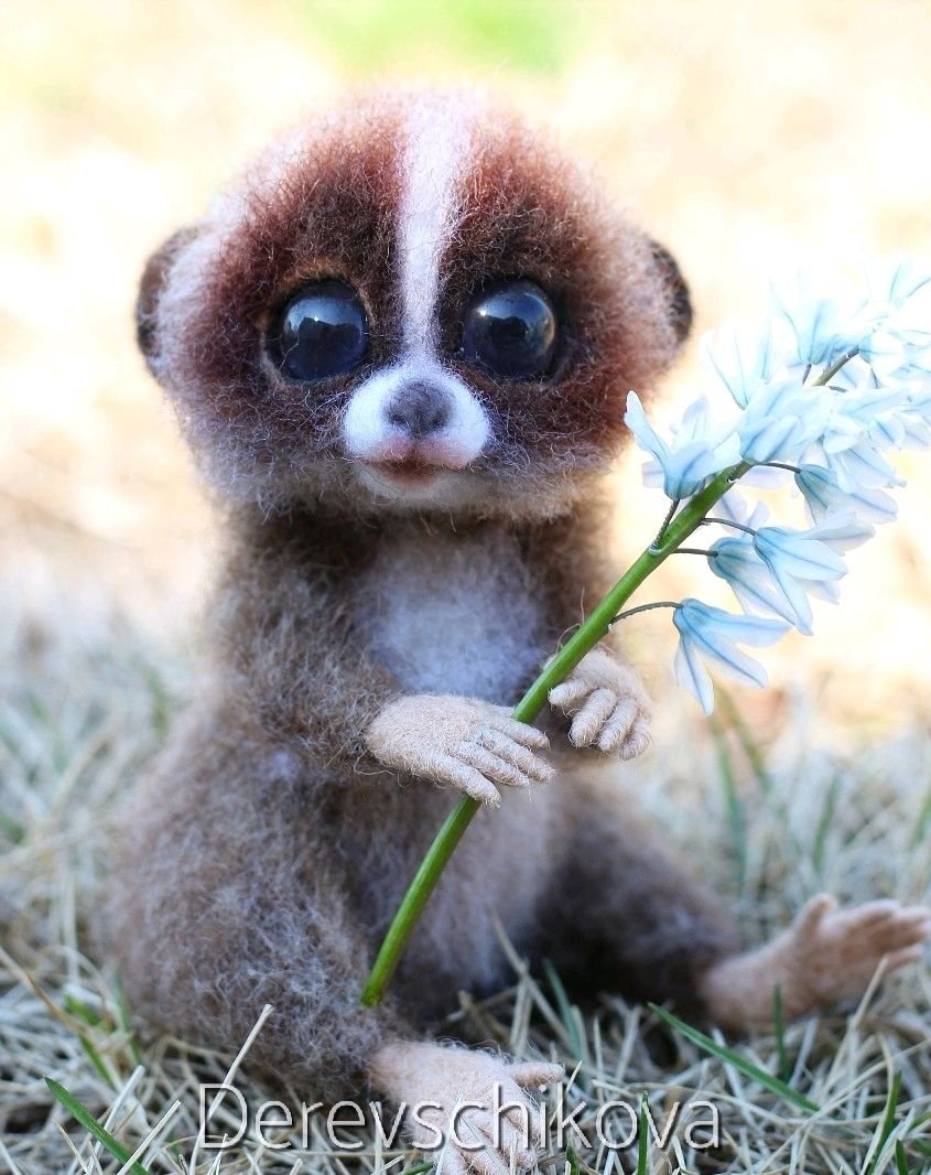 Лемур Лори маленький