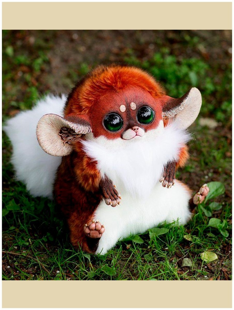 Мексиканский глазоух зверек