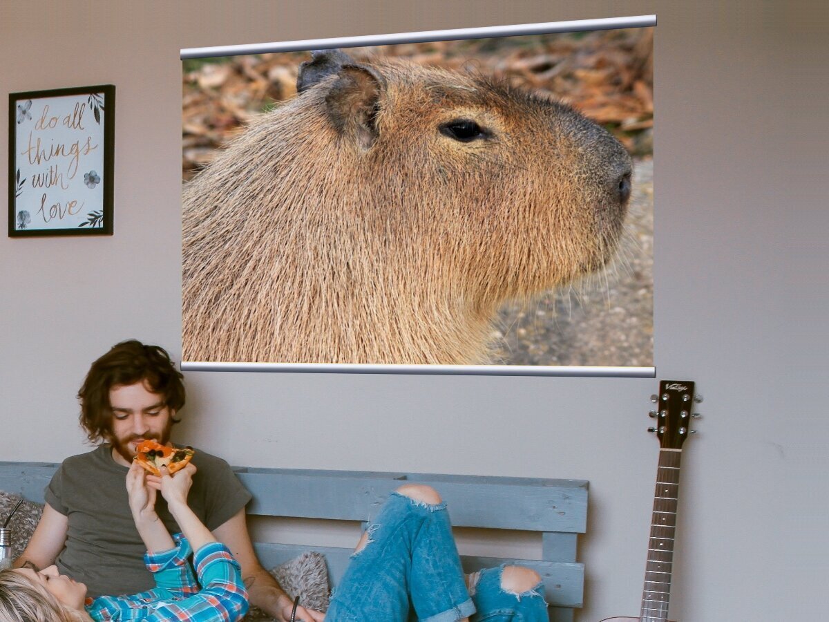 Капибара гигачат