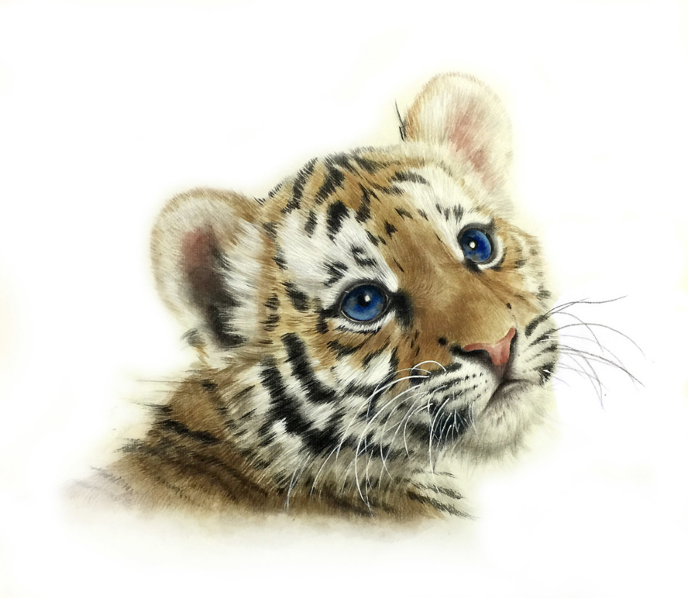 Тигр для декупажа