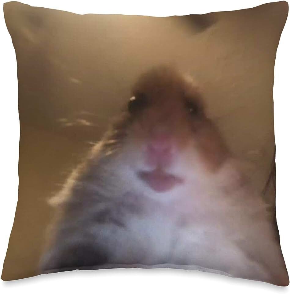 Хомяк в камере