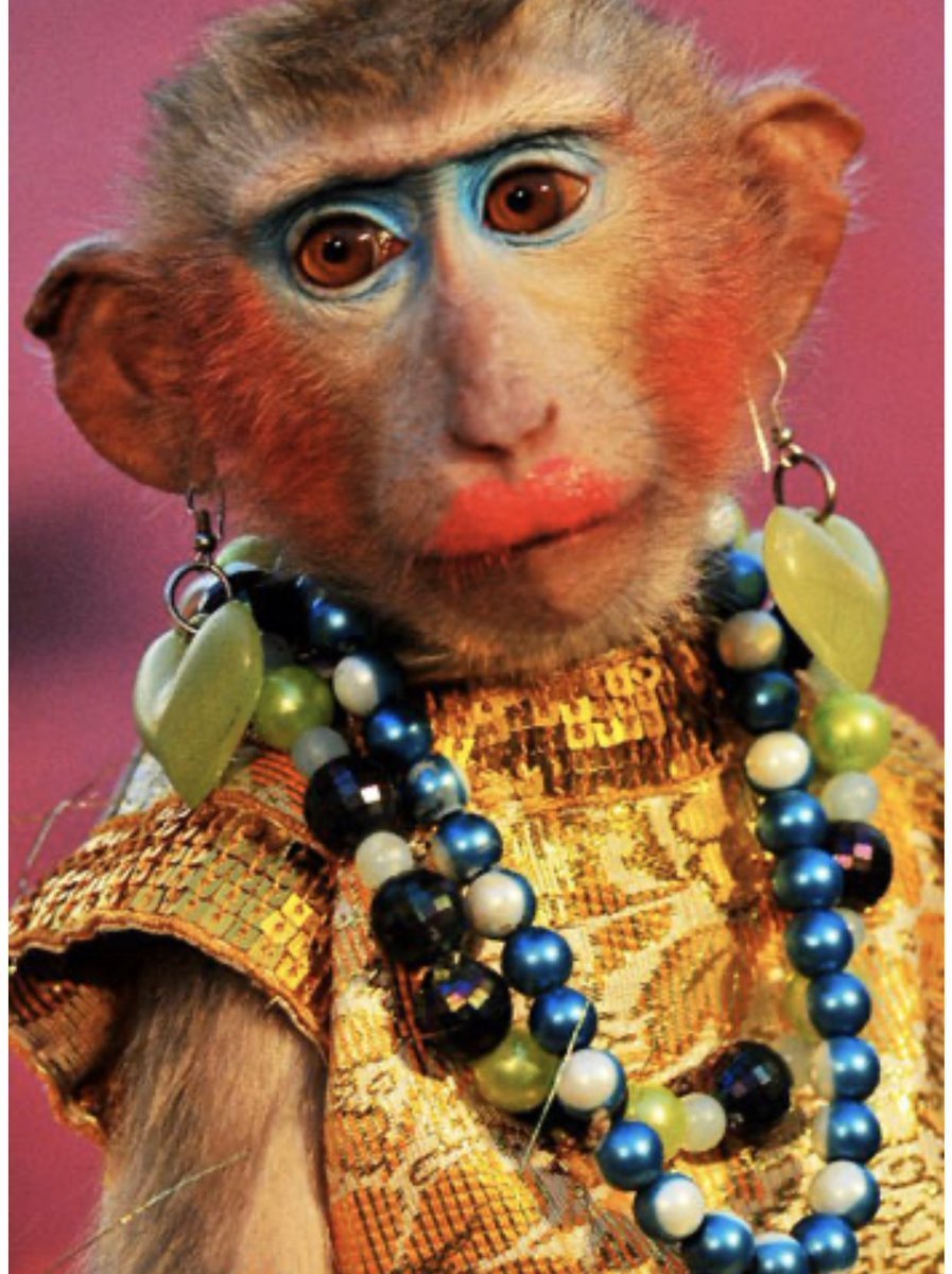 Крашеная обезьянка