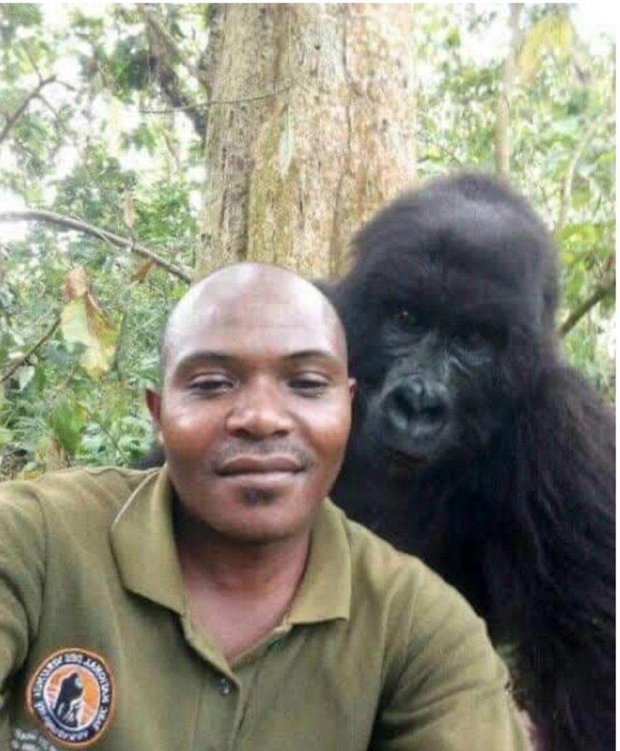 Человек похожий на гориллу