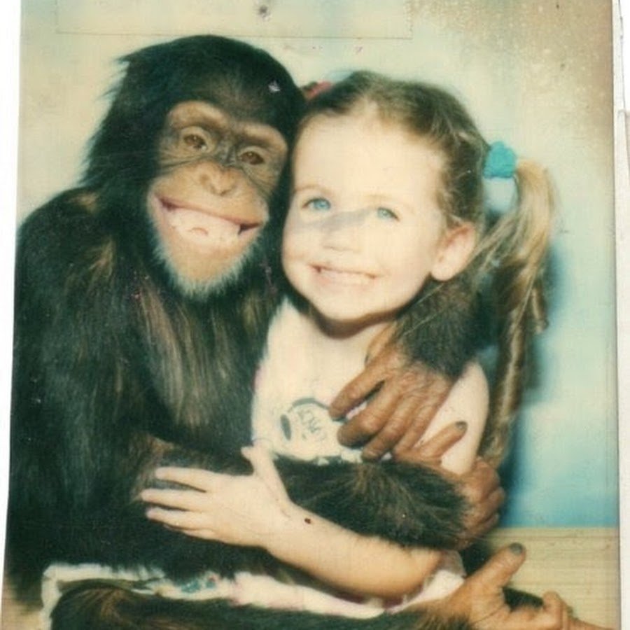 Девушка и обезьяна