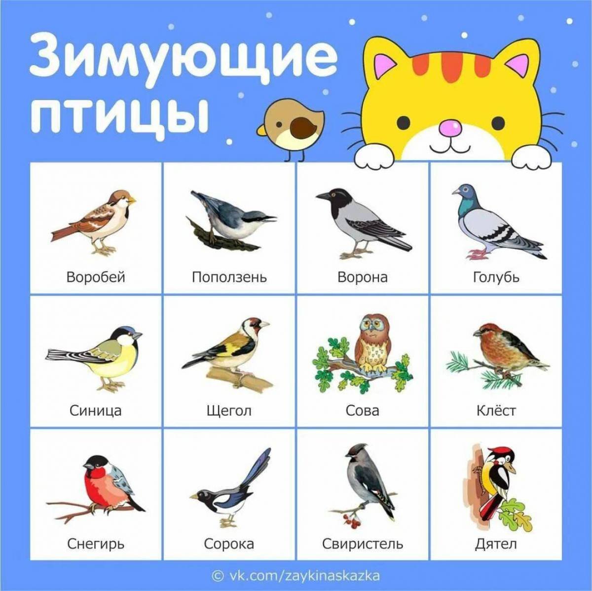 Перелётные птицы и зимующие птицы детский сад