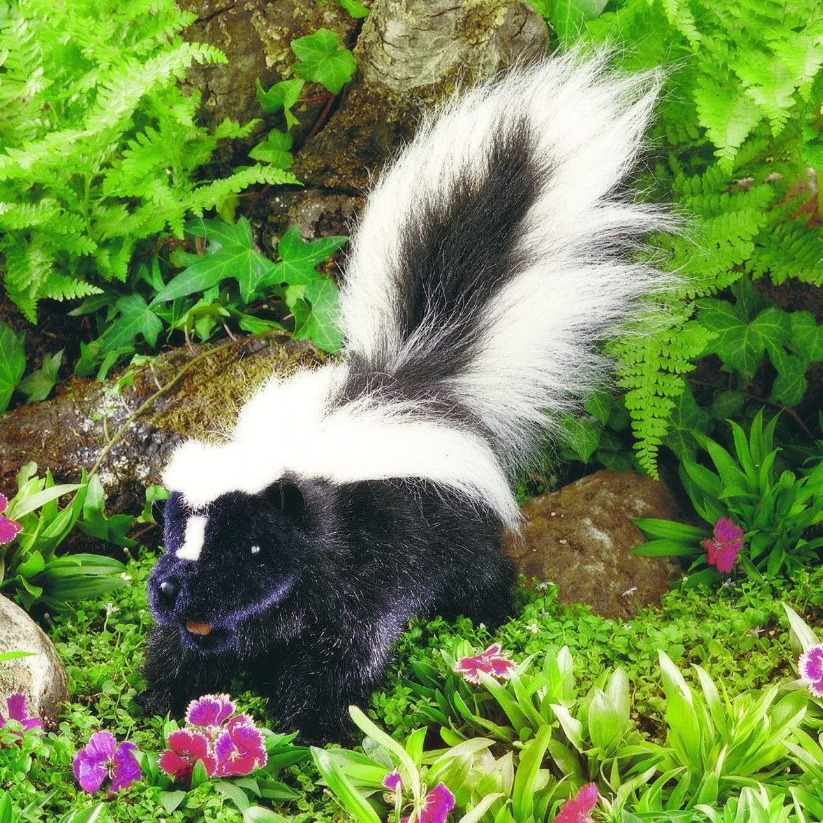 Белый скунс