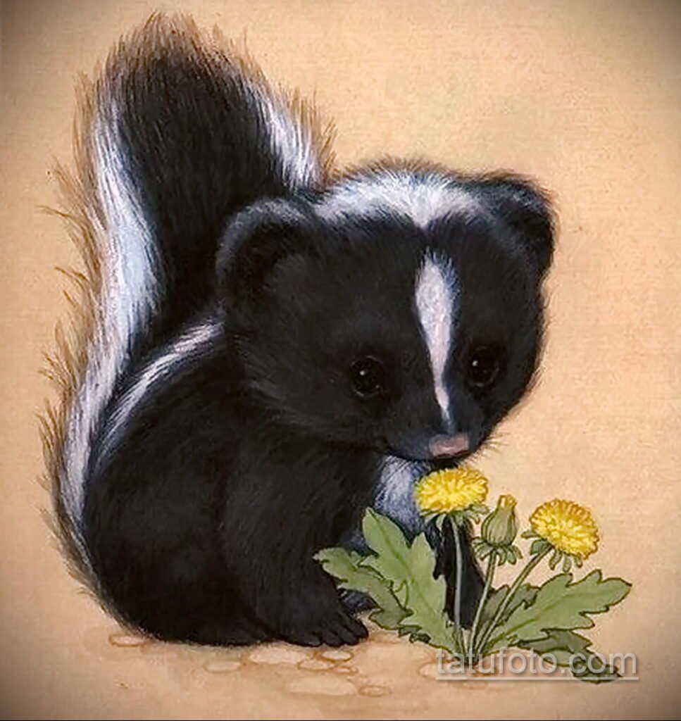Скунс милый