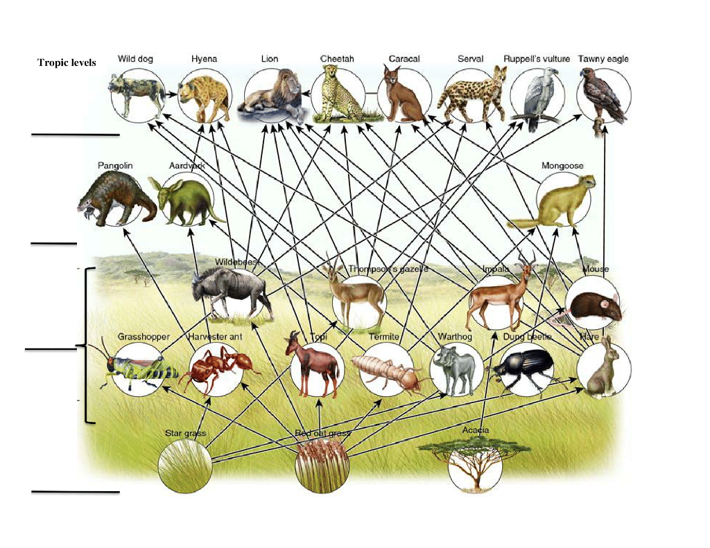 Сеть питания