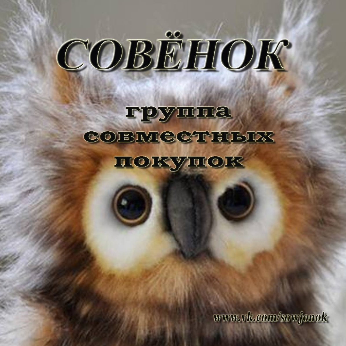 Лохматая Сова