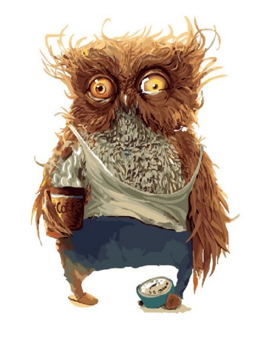 Невыспавшаяся Сова