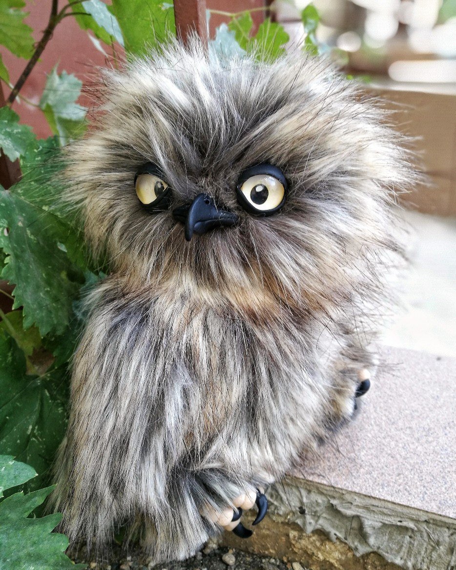 Взъерошенный Совенок