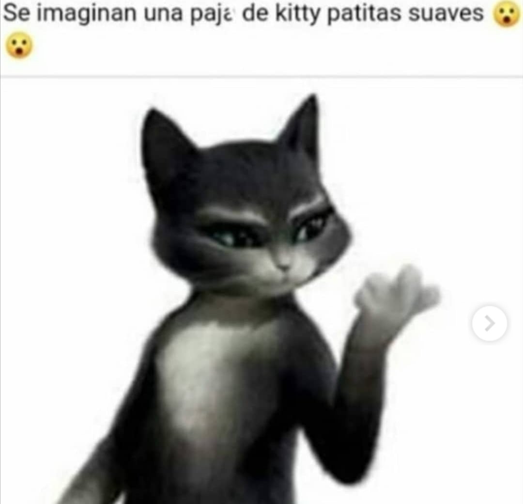 Киса мягколапка Шрек