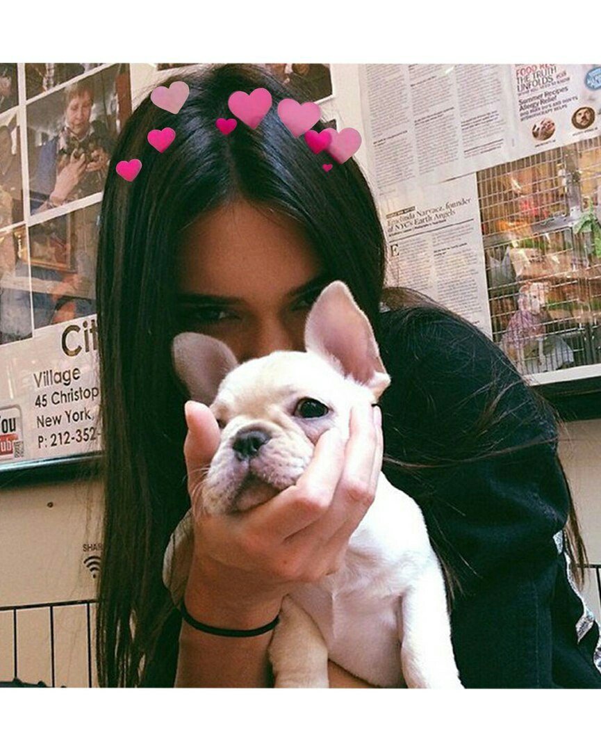 Брюнетка с собакой