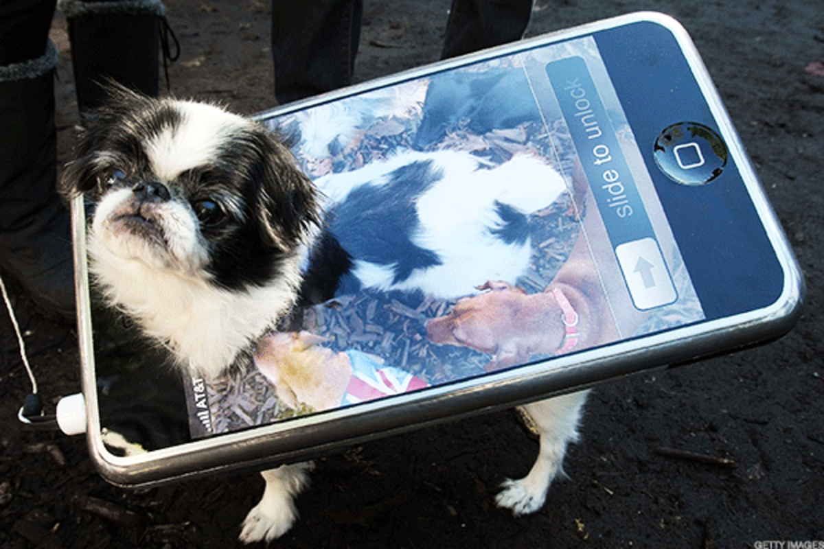 Собака с айфоном