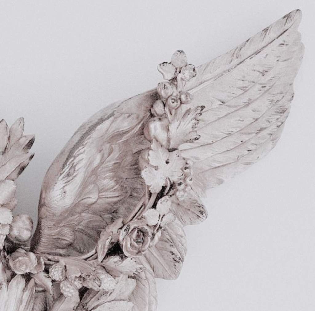 Крылья ангела Эстетика